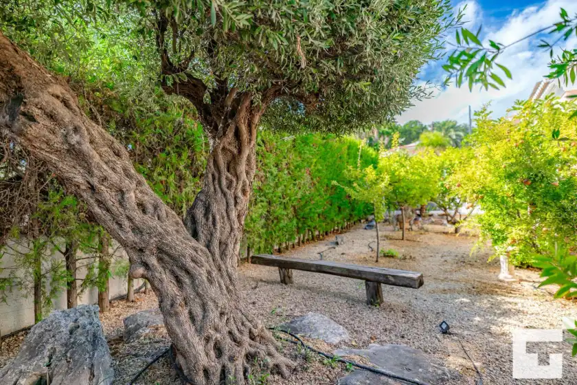Ferienhaus auf Coral - grupo turis, Fanadix