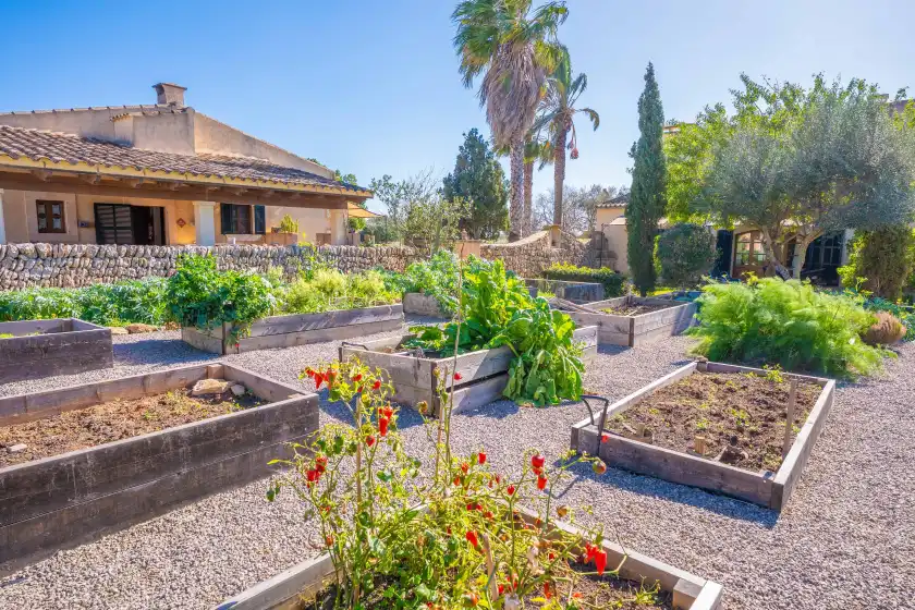 Alquiler vacacional en Agroturismo mondrago (antic na martina), Portopetro