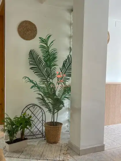 Alquiler vacacional en Studio villamartin, Orihuela Costa