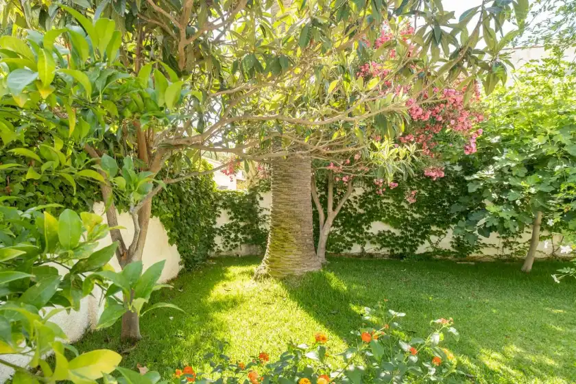Alquiler vacacional en Villa jardín botánico, Orihuela Costa