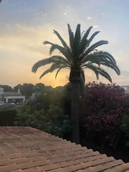 Alquiler vacacional en Villa jardín botánico, Orihuela Costa