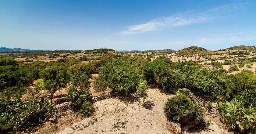 Alquiler vacacional en Tenja, Sant Llorenç des Cardassar