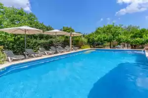 Cas consul - Location de vacances à Sant Miquel de Balansat