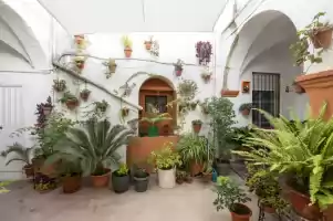 Casa cuna - Location de vacances à Arcos de la Frontera