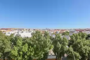 Mirador de triana - Holiday rentals in Sevilla