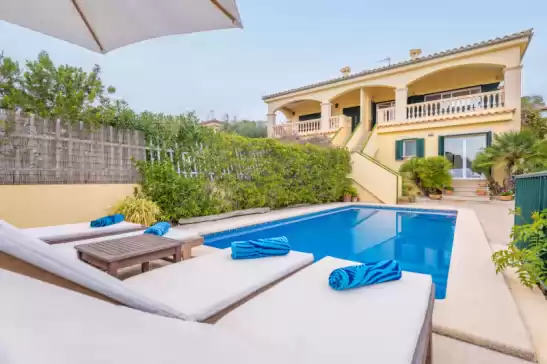 Xilvar à Alcanada, Alcúdia, Mallorca, Illes Balears, España