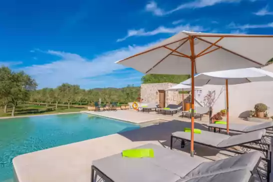Gossalba - estandard à Sant Joan, Mallorca, Illes Balears, España