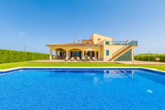 Es mussol in Sa Pobla, Mallorca, Illes Balears, España