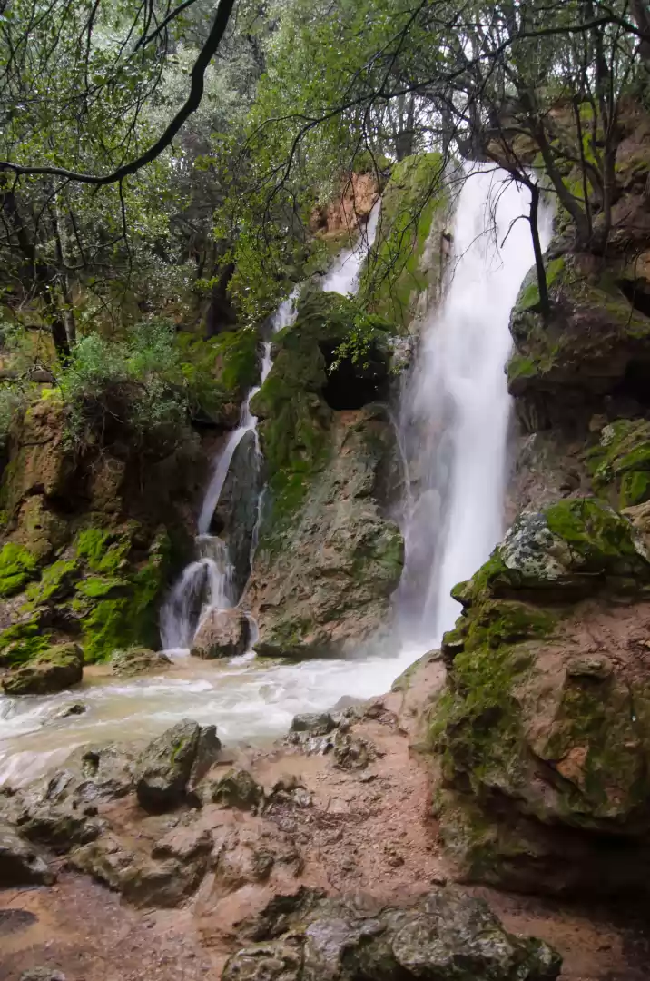 Salt Des Freu, Mallorca