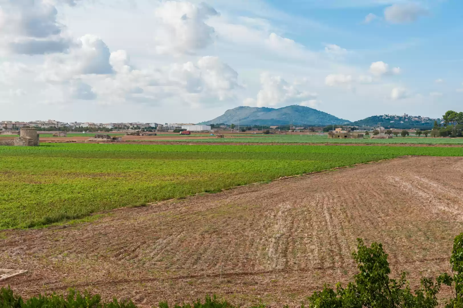 Sa Pobla, Mallorca