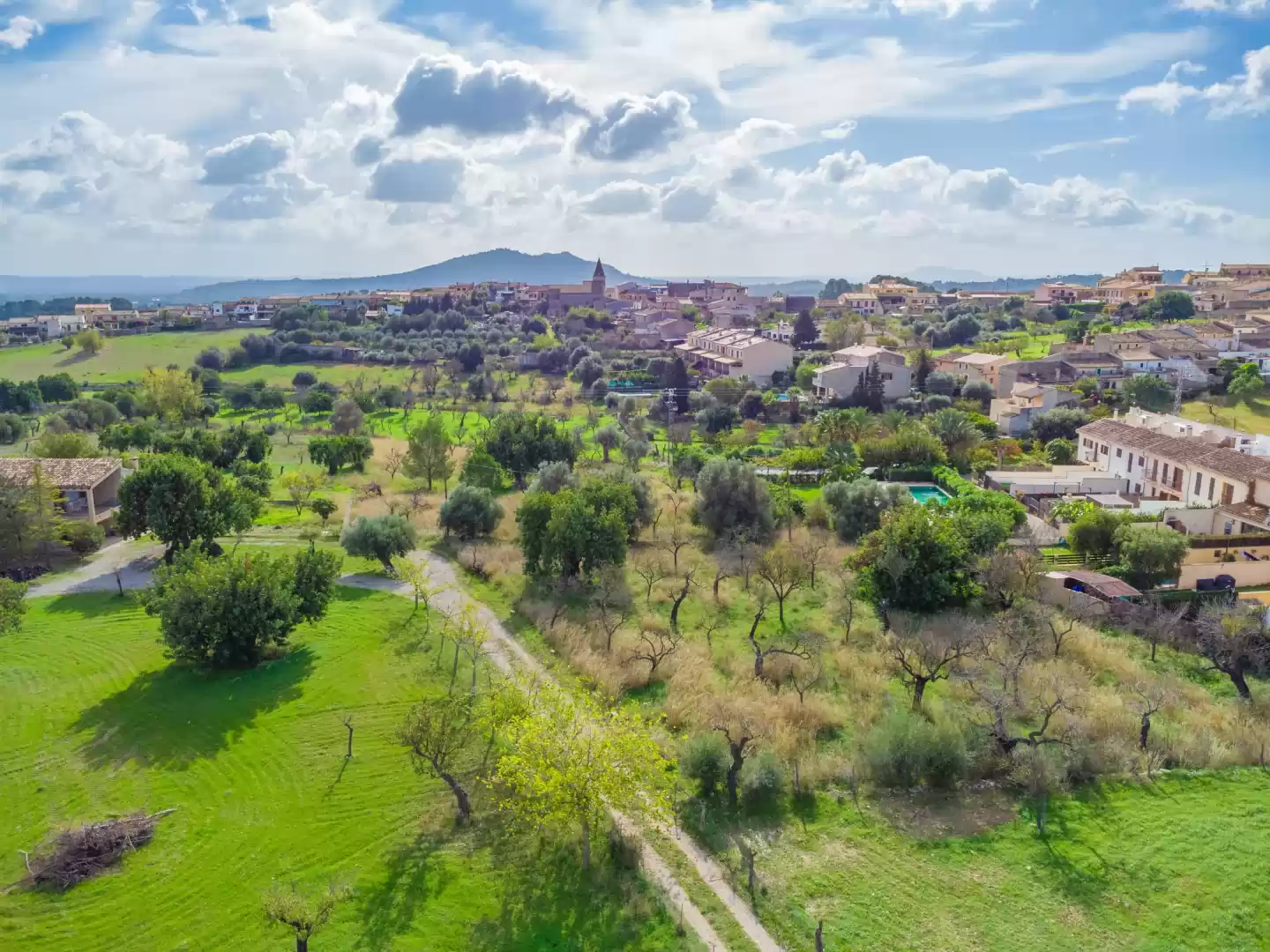 Moscari, Mallorca