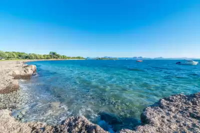 Platja de l'Alcanada, Mallorca