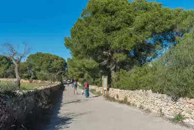 Parque Natural de Mondragó, Mallorca