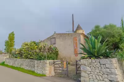 Museu arqueològic de Son Fornés, Mallorca