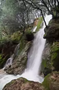 Salt Des Freu, Mallorca