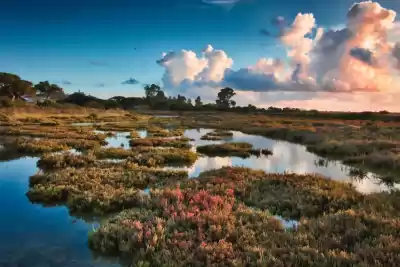 Chiclana de la Frontera, Cádiz