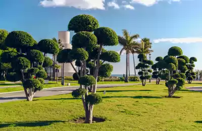 Torremolinos, Málaga