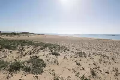 Playa de la Hierbabuena, Cádiz