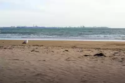 Playa de Valdelagrana, Cádiz