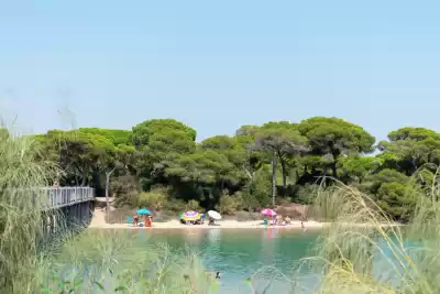 Playa de la Cachucha, Cádiz