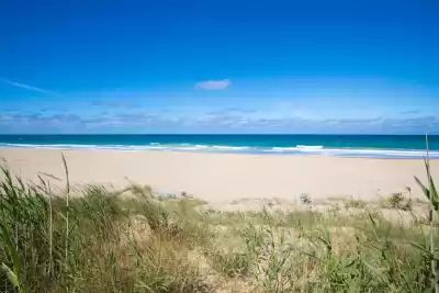 Playa Mangueta, Cádiz